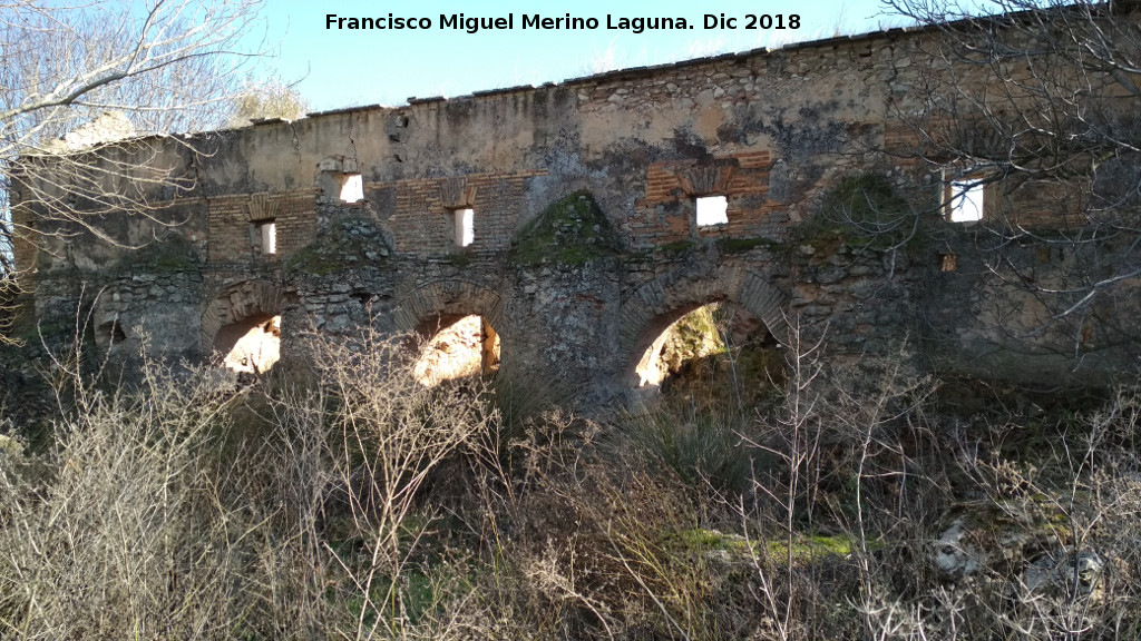 Molino Grin - Molino Grin. 