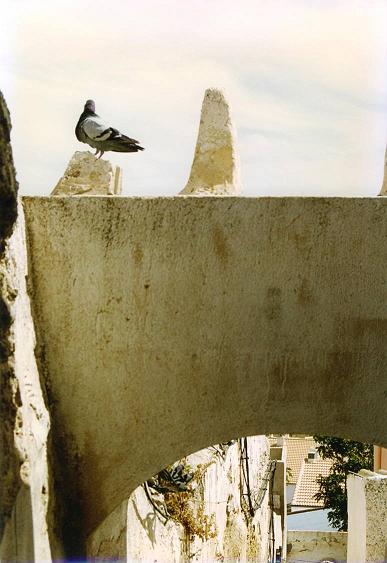 Arco árabe de la Calle del Vicario - Arco árabe de la Calle del Vicario. Foto antigua