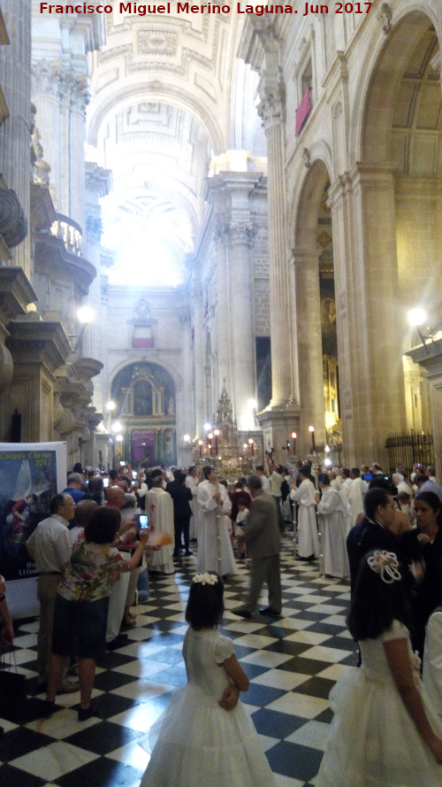 Catedral de Jaén. Nave de la Epístola - Catedral de Jaén. Nave de la Epístola. Corpus