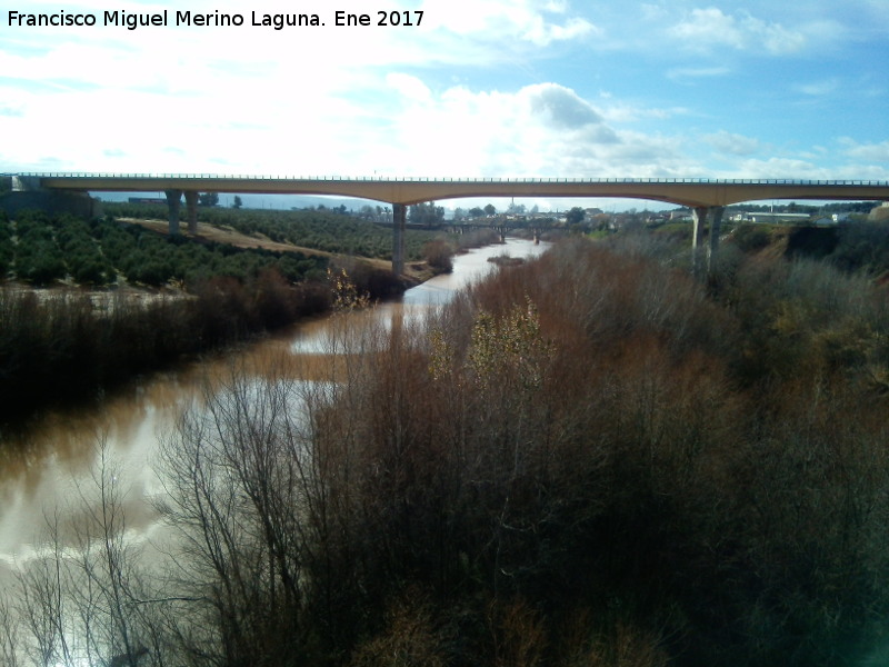 Río Guadalimar - Río Guadalimar. A su paso por la Estación Linares Baeza