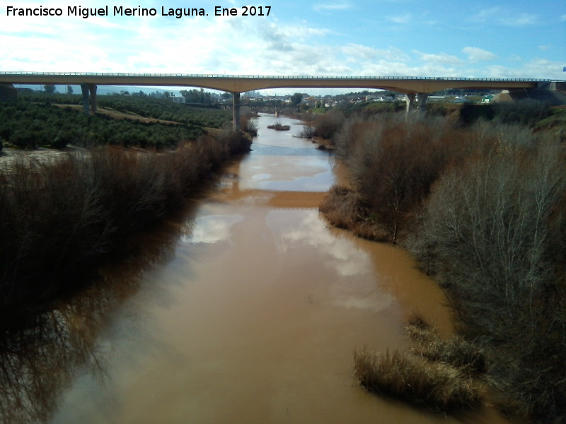 Río Guadalimar - Río Guadalimar. A su paso por la Estación Linares Baeza