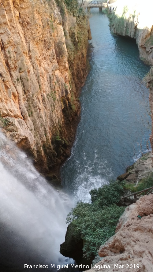 Parque Natural del Monasterio de Piedra. Cascada Cola de Caballo - Parque Natural del Monasterio de Piedra. Cascada Cola de Caballo. Río Piedra desde lo alto de la cascada