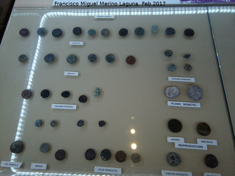Museo Arqueológico Ciudad de Arjona - Museo Arqueológico Ciudad de Arjona. Monedas