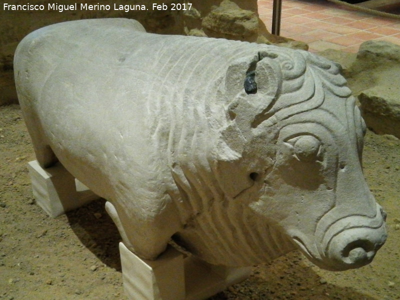 Toro Ibero de Arjona - Toro Ibero de Arjona. Museo Arqueológico Ciudad de Arjona
