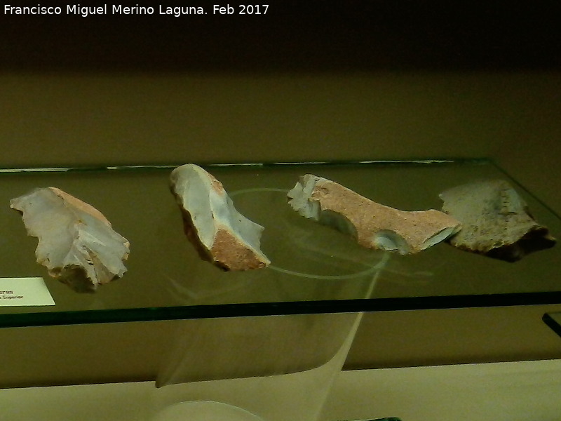 Raedera - Raedera. Museo Arqueológico Ciudad de Arjona