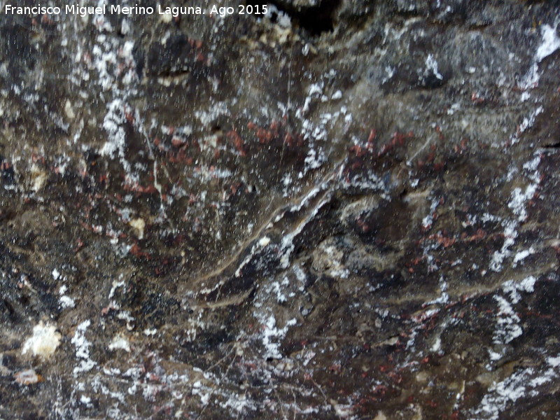 Pinturas rupestres del Abrigo del Puerto - Pinturas rupestres del Abrigo del Puerto. Pinturas inéditas
