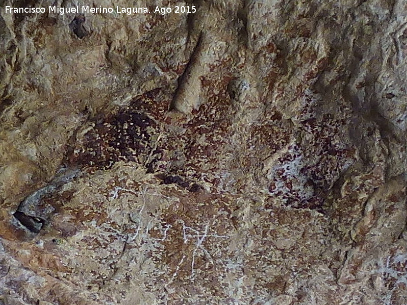 Pinturas rupestres del Abrigo del Puerto - Pinturas rupestres del Abrigo del Puerto. Pinturas rupestres inéditas
