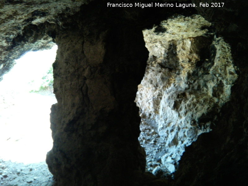 Cuevas de la Cañavera - Cuevas de la Cañavera. Columna