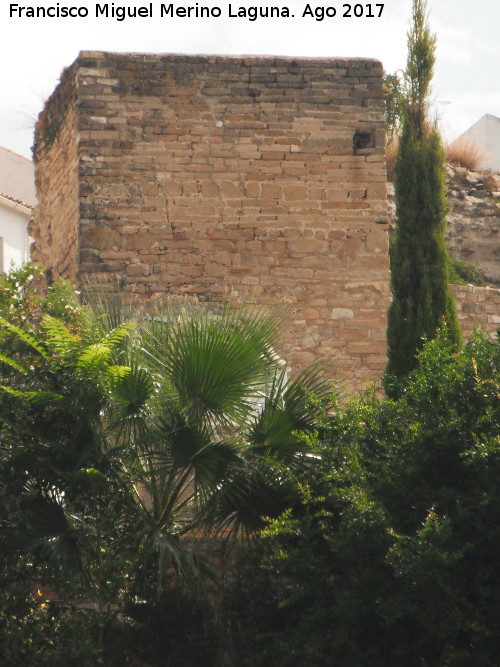 Torreón de Saludeja I - Torreón de Saludeja I. Desde las huertas de la Saludeja