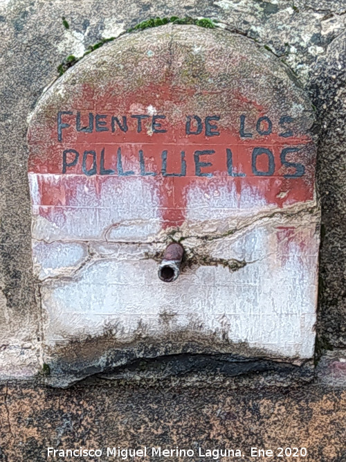 Fuente de los Polluelos - Fuente de los Polluelos. Ca�o