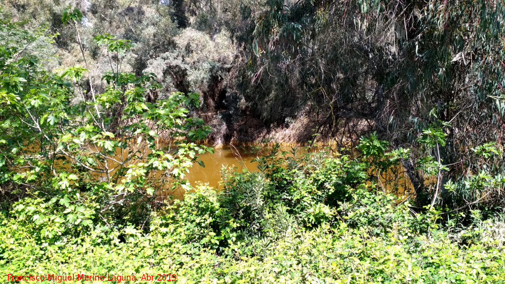 Río Tinto - Río Tinto. A su paso por Niebla