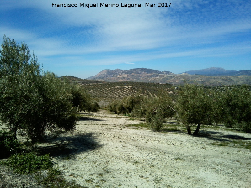 Yacimiento de Cuarzo Morin de la Loma del Perro - Yacimiento de Cuarzo Morin de la Loma del Perro. 