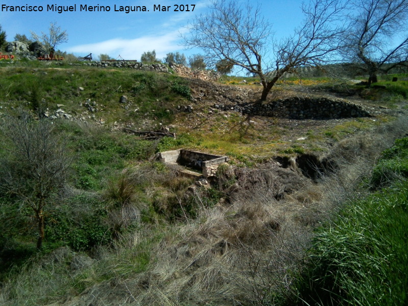 Pilar de Cortijo Encinas - Pilar de Cortijo Encinas. 