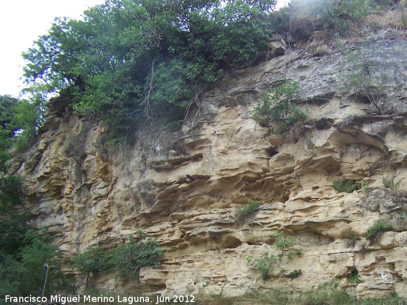 Paraje de la Corregidora - Paraje de la Corregidora. 