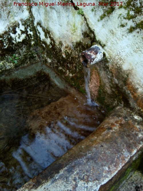 Fuente del Sotillo - Fuente del Sotillo. Caño