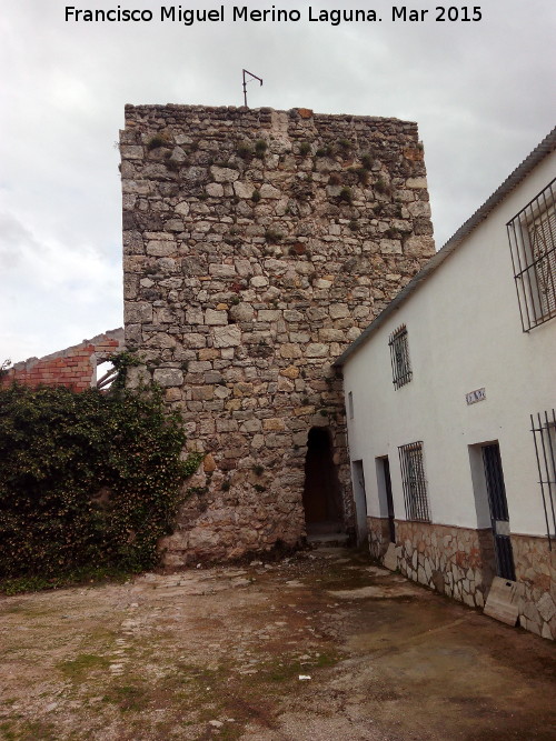 Castillo de la Muña - Castillo de la Muña. 