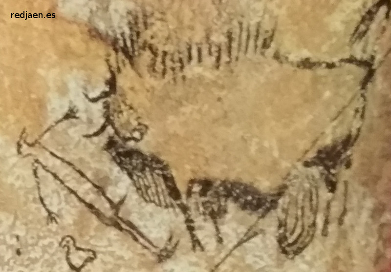 Pinturas rupestres de Lascaux - Pinturas rupestres de Lascaux. Paleomána - Bedmar
