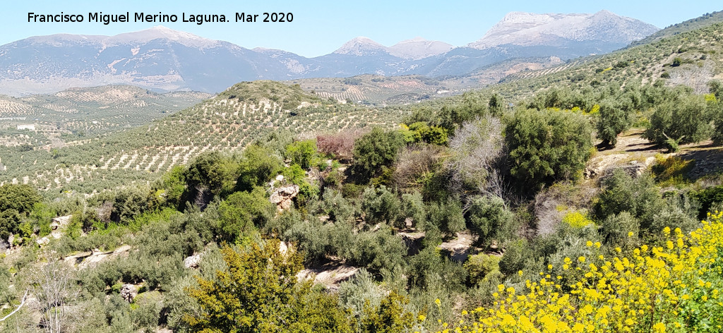 Cueva de la Zorra - Cueva de la Zorra. Zona la la cueva