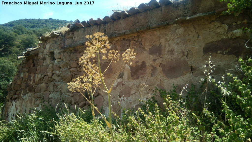 Cortijo Antiguo del Peñón de Zuzaña - Cortijo Antiguo del Peñón de Zuzaña. 