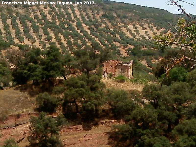 Cortijo de Lara - Cortijo de Lara. 