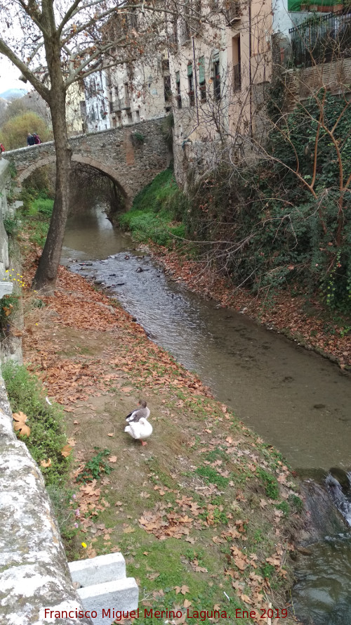 Ro Darro - Ro Darro. 