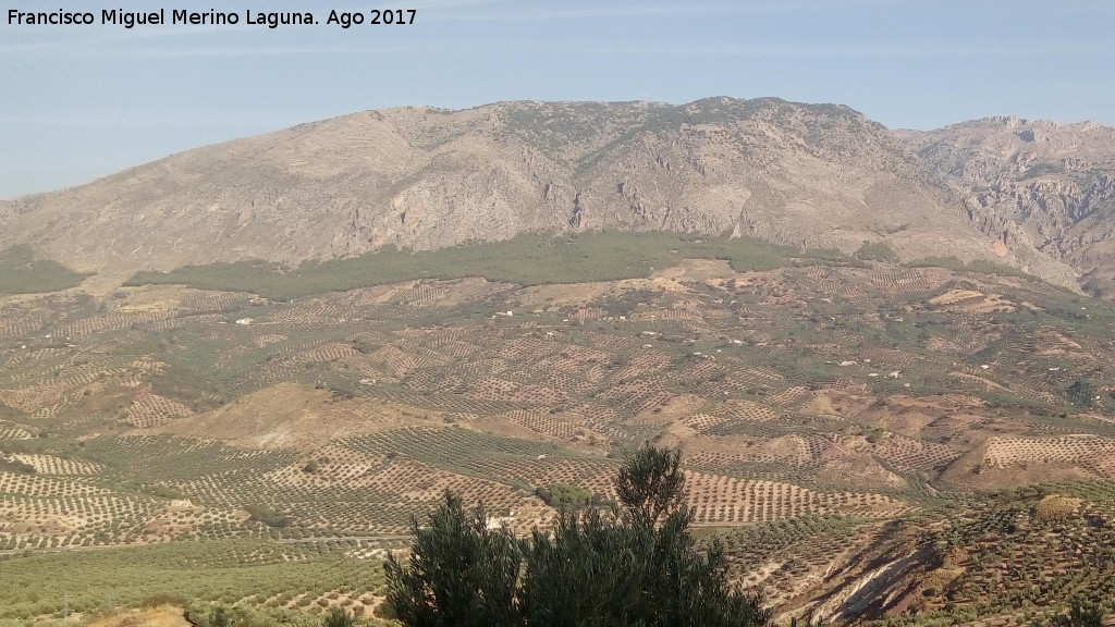 Cerro de Peñalisa - Cerro de Peñalisa. Desde el Morador de los Coscojares