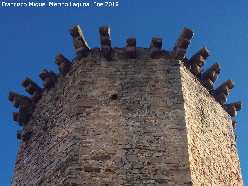 Castillo de las Torres Oscuras - Castillo de las Torres Oscuras. Matacán