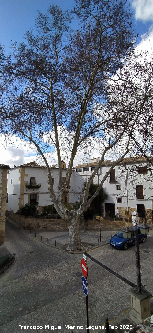 Calle Prior Monteagudo - Calle Prior Monteagudo. 