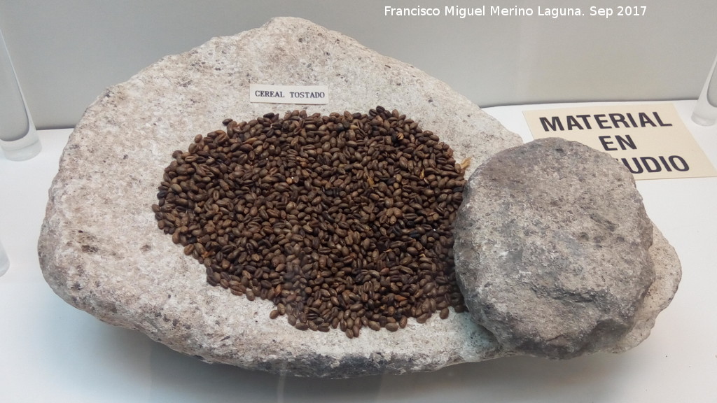 Neolítico - Neolítico. Molino y cereal tostado. Museo Histórico de Zuheros