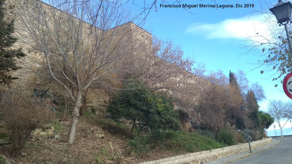 Torre�n de Saludeja VI - Torre�n de Saludeja VI. 