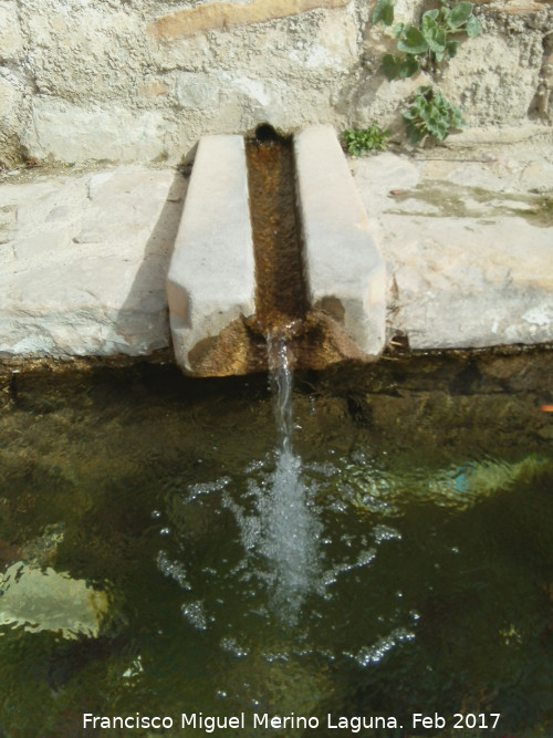 Pilar de Saludeja - Pilar de Saludeja. Caño