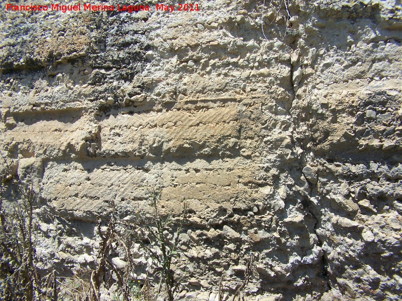 Salaria - Salaria. Gran muro