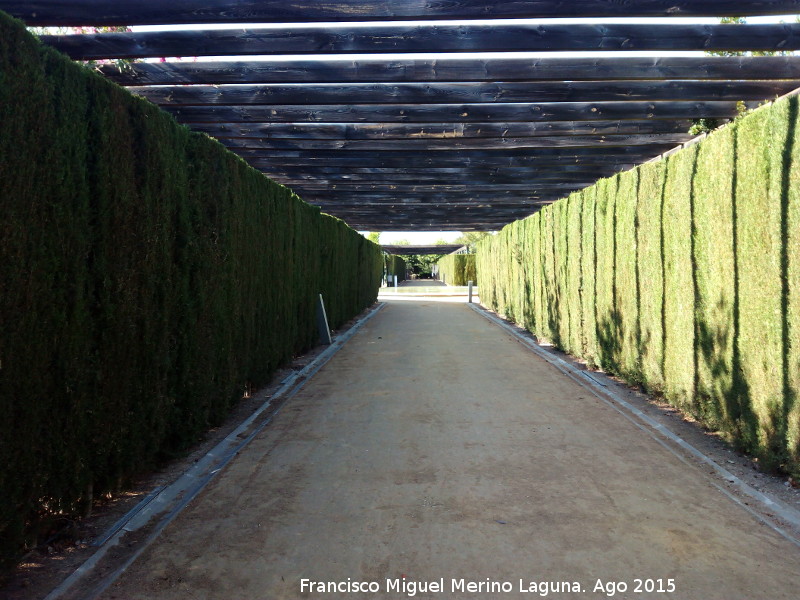 Parque Andrs de Vandelvira - Parque Andrs de Vandelvira. 