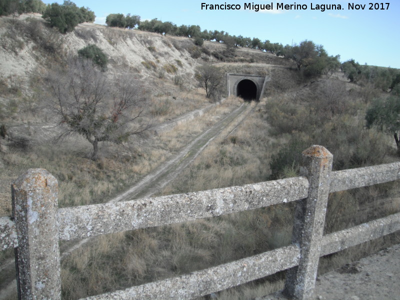 Puente de Trivia - Puente de Trivia. Tnel desde el puente
