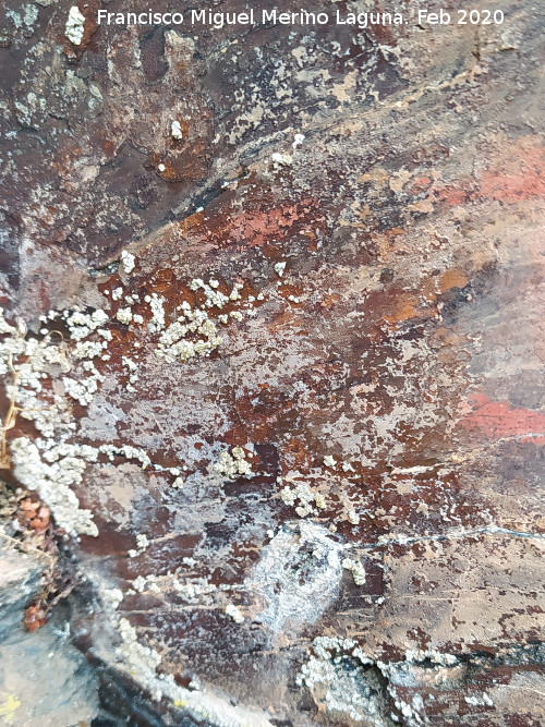 Pinturas rupestres del Abrigo del Guadal�n II - Pinturas rupestres del Abrigo del Guadal�n II. Detalle
