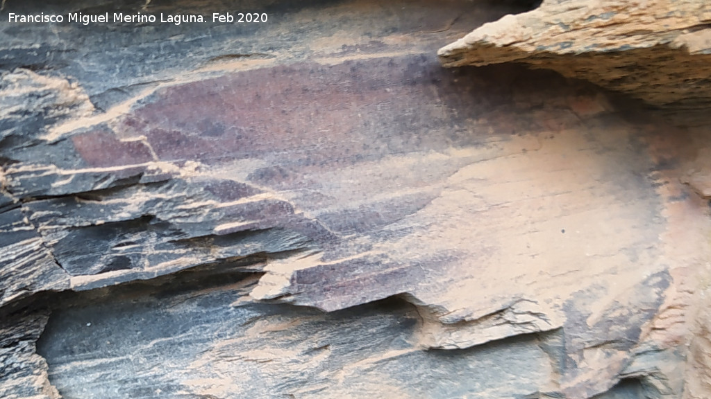 Pinturas rupestres del Abrigo del Guadal�n III - Pinturas rupestres del Abrigo del Guadal�n III. 