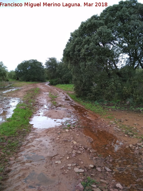 Vía Heráclea o Camino de Aníbal - Vía Heráclea o Camino de Aníbal. 