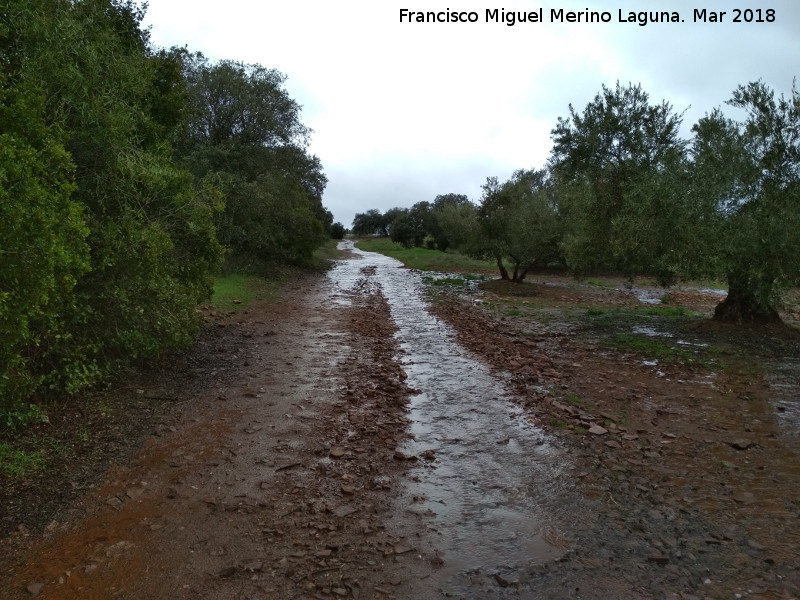 Vía Heráclea o Camino de Aníbal - Vía Heráclea o Camino de Aníbal. 