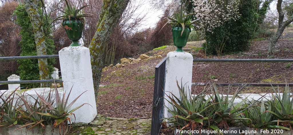 Cortijo de Torrequebrada - Cortijo de Torrequebrada. Jarrones del patín