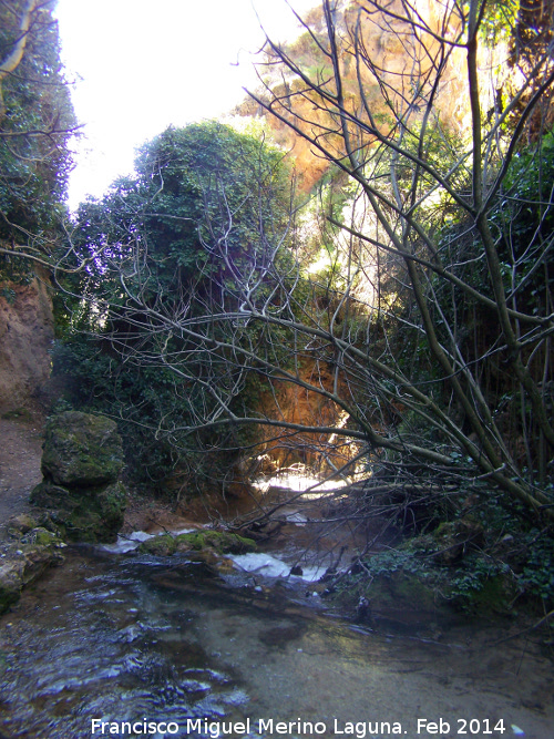 Las Chorreras - Las Chorreras. Cañón
