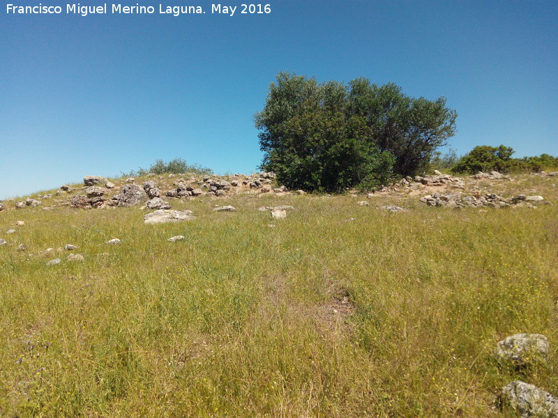 Poblado prehistórico del Cerro del Salto - Poblado prehistórico del Cerro del Salto. Muralla intramuros de la zona alta del poblado