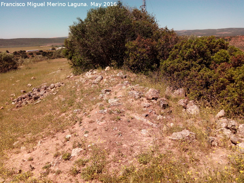 Poblado prehistórico del Cerro del Salto - Poblado prehistórico del Cerro del Salto. Parte superior de la muralla