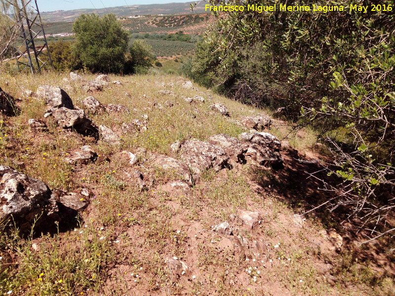 Poblado prehistórico del Cerro del Salto - Poblado prehistórico del Cerro del Salto. 