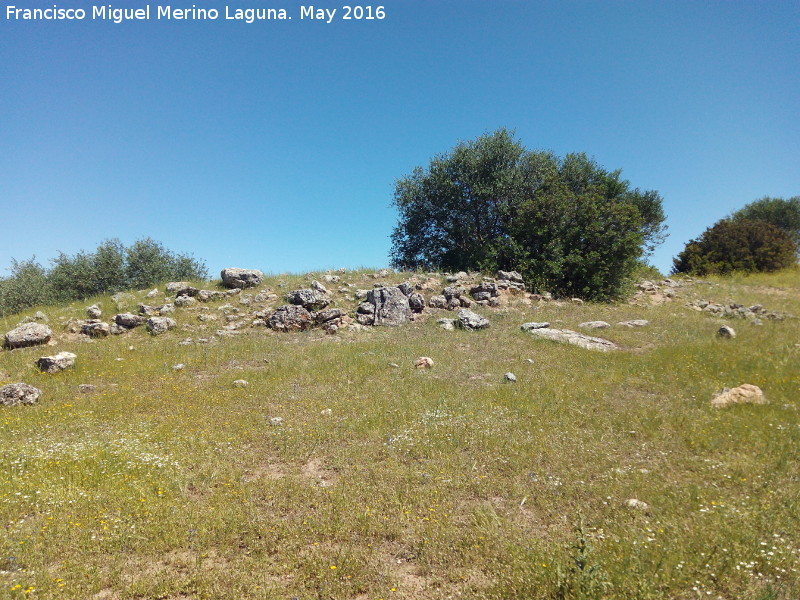 Poblado prehistórico del Cerro del Salto - Poblado prehistórico del Cerro del Salto. Línea de muralla y a la derecha esquina de edificación