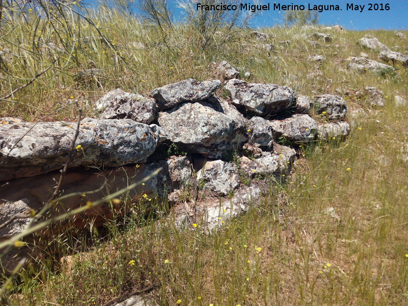 Poblado prehistórico del Cerro del Salto - Poblado prehistórico del Cerro del Salto. Muralla