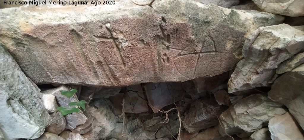 Caracol Abandonado - Caracol Abandonado. Grabado y bóveda segunda