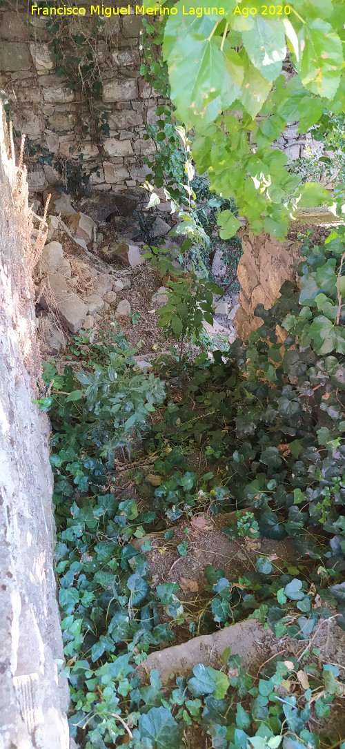 Cortijo de la Torre - Cortijo de la Torre. Escaleras