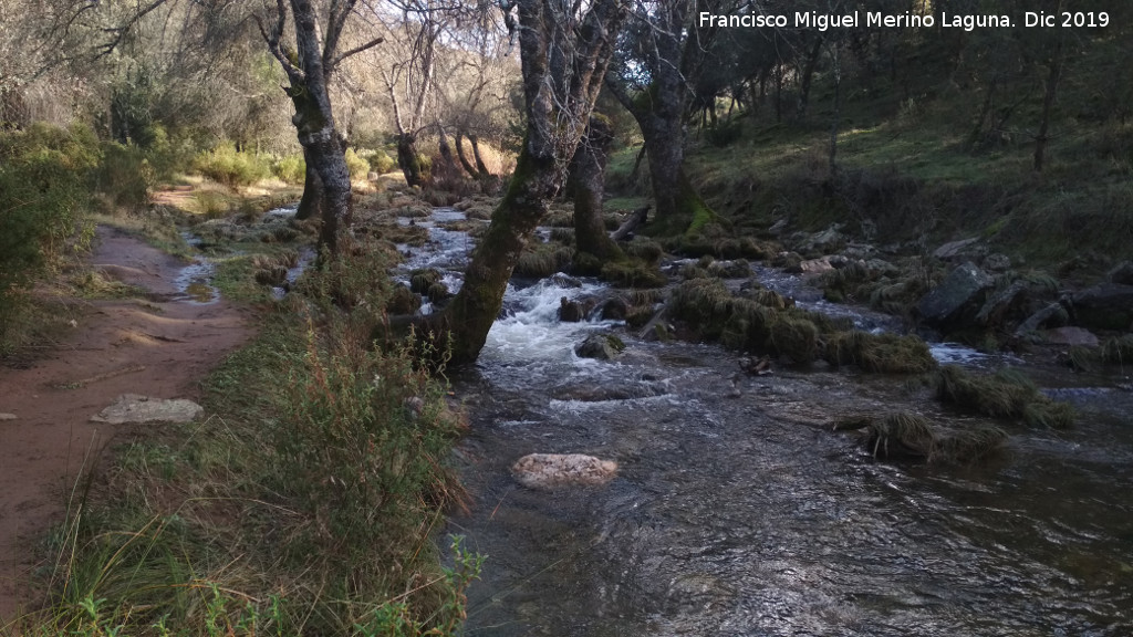 Arroyo de Mart�n P�rez - Arroyo de Mart�n P�rez. 