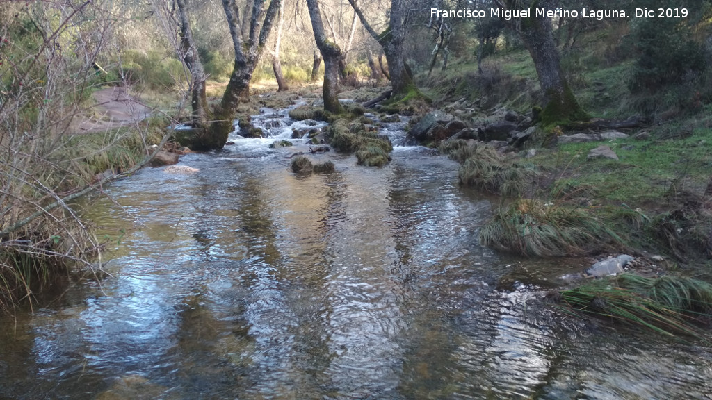Arroyo de Mart�n P�rez - Arroyo de Mart�n P�rez. 