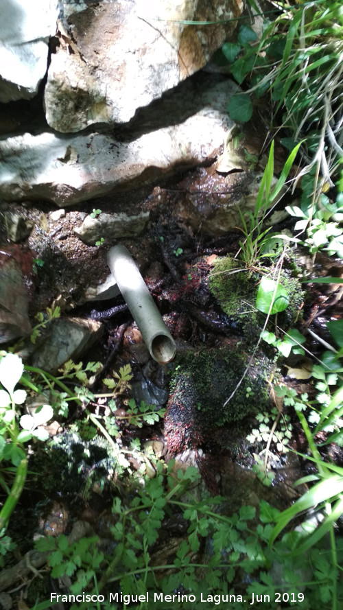 Fuente del Cimbarrillo - Fuente del Cimbarrillo. Caño